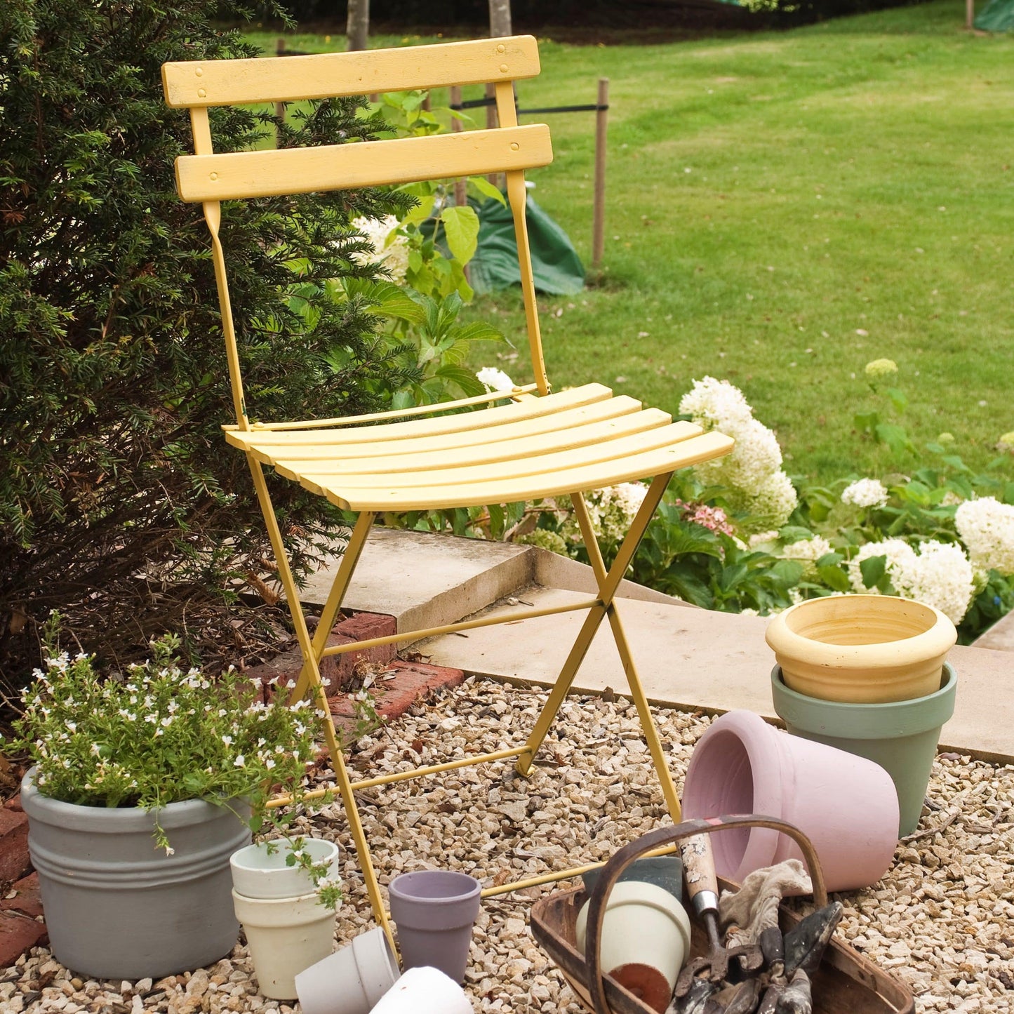 Yellow Ground No. 218