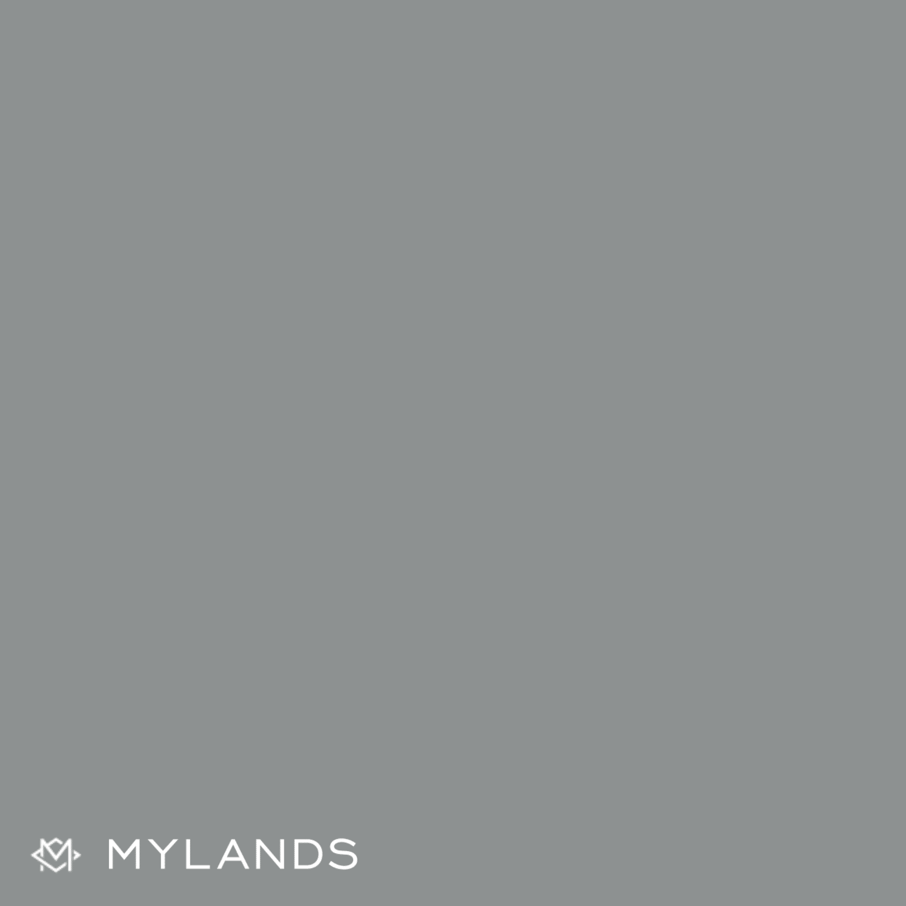 FTT-004 Silver – Pattons Paints